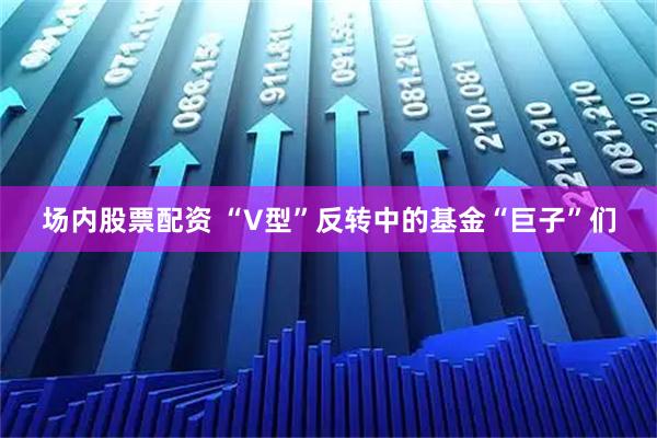 场内股票配资 “V型”反转中的基金“巨子”们