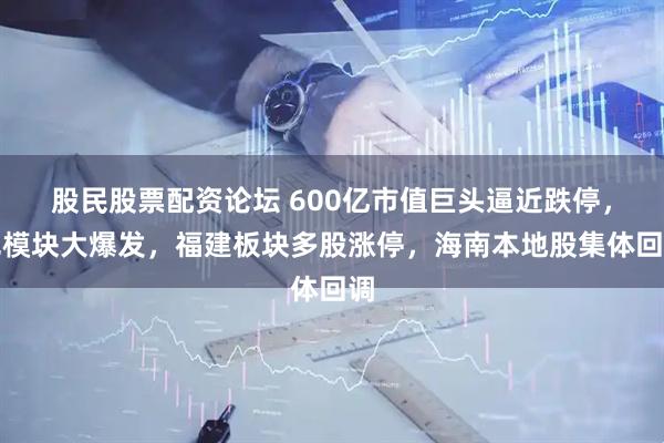 股民股票配资论坛 600亿市值巨头逼近跌停，光模块大爆发，福建板块多股涨停，海南本地股集体回调